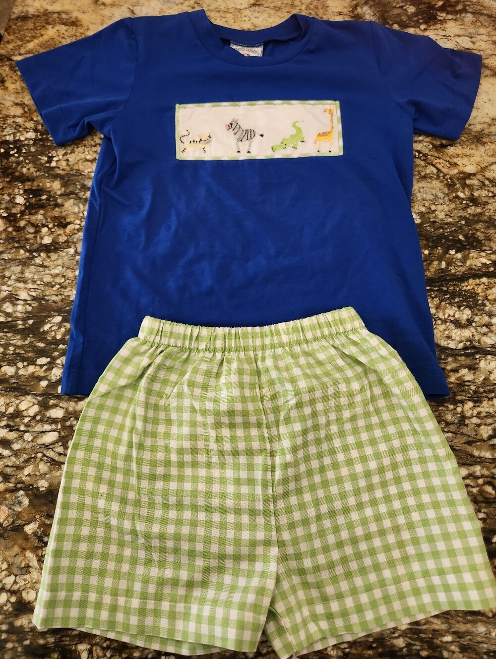 Blue Short-Sleeve Kids Set with Green Gingham Shorts